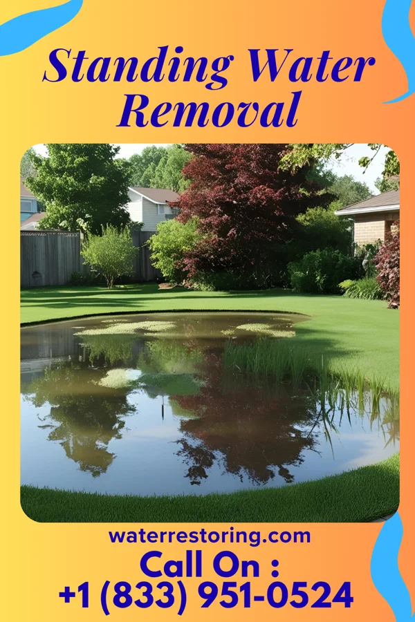 Standing Water Removal in Falls City, NE